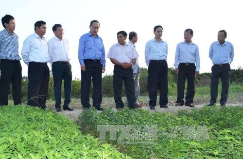 ປະທານຄະນະກຳມະການສູນກາງແນວໂຮມປະເທດຊາດຫວຽດນາມຫງວຽນທ້ຽນເຍີນຢ້ຽມຢາມບັນດາຮູບແບບສະຫະກອນທີ່ດີເດັ່ນຢູ່ວິ້ງລອ